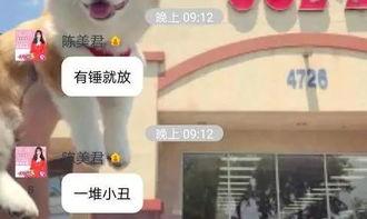 李先生王小姐爆料视频,揭秘背后惊人真相 第2张 李先生王小姐爆料视频,揭秘背后惊人真相 第2张