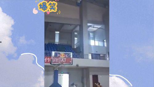 沙雕视频爆料网站大全,笑料横生，欢乐无限！  第1张